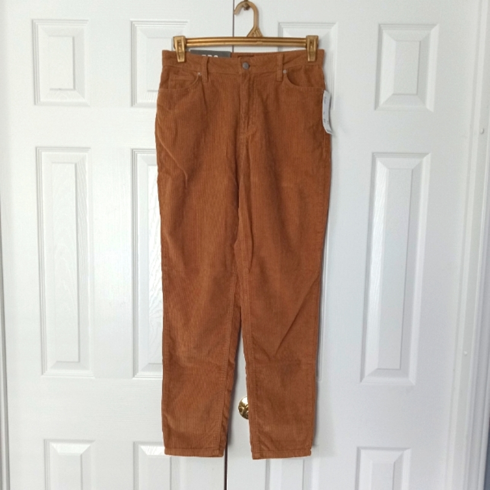 BDG Corduroy Pants High Rise Mom Fit Sz29 100% Cotton Taupe Urban Outfitters NWT